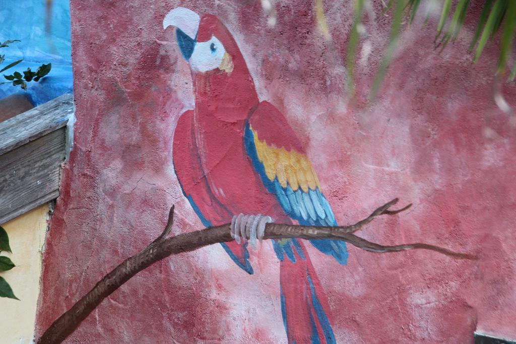A Pousada El Porvenir Los Llanos De Aridane Exterior foto