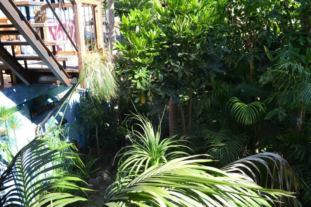 A Pousada El Porvenir Los Llanos De Aridane Exterior foto